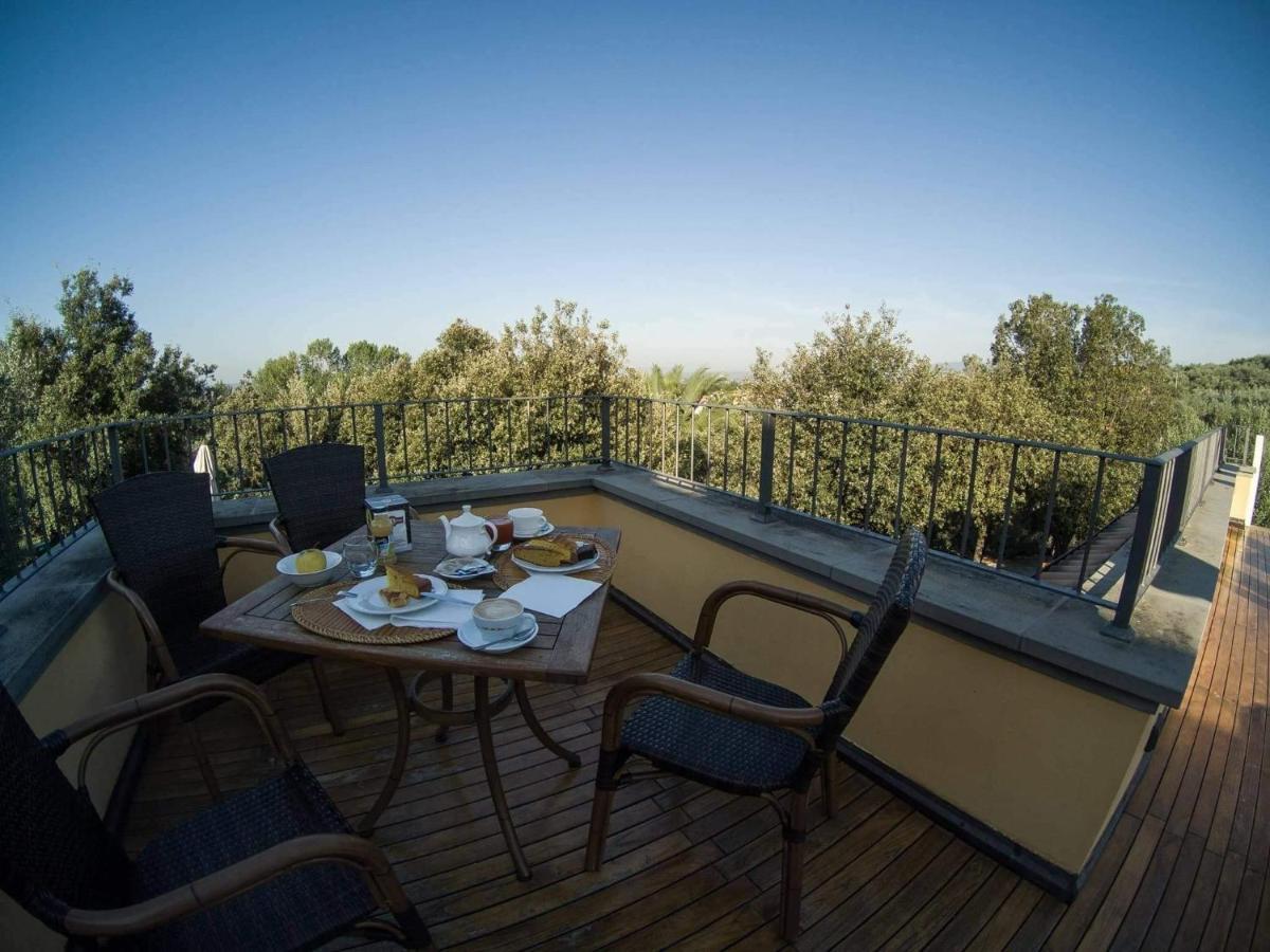 Bed and Breakfast Poggio Degli Olivi Monsummano Terme Esterno foto